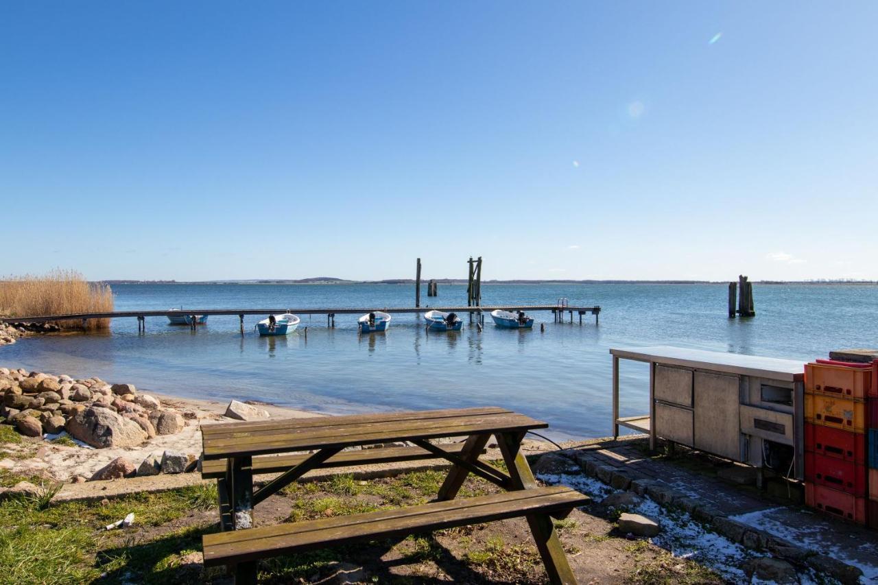 Pension Zur Wittower Faehre Hotell Wiek auf Rügen Exteriör bild